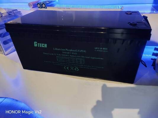 12.8V LiFePO4 ব্যাটারি