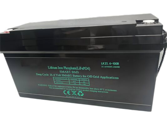 2-Year Warranty Maintenance-Free VRLA Battery 12V 100Ah Sealed Lead Acid Battery for High Rate Discharge